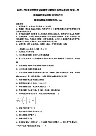 2023-2024学年甘肃省武威市民勤实验中学九年级化学第一学期期中教学质量检测模拟试题含解析.doc