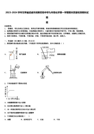 2023-2024学年甘肃省武威市民勤实验中学九年级化学第一学期期末质量检测模拟试题含解析.doc