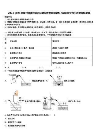 2023-2024学年甘肃省武威市民勤实验中学化学九上期末学业水平测试模拟试题含解析.doc