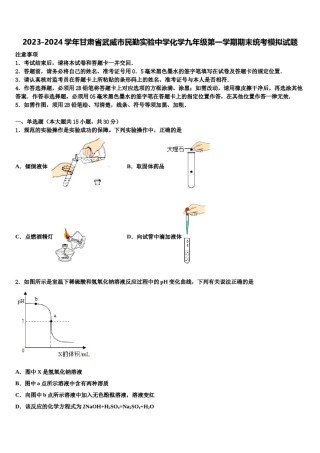 2023-2024学年甘肃省武威市民勤实验中学化学九年级第一学期期末统考模拟试题含解析.doc