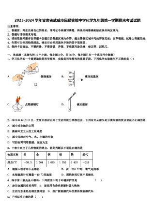 2023-2024学年甘肃省武威市民勤实验中学化学九年级第一学期期末考试试题含解析.doc
