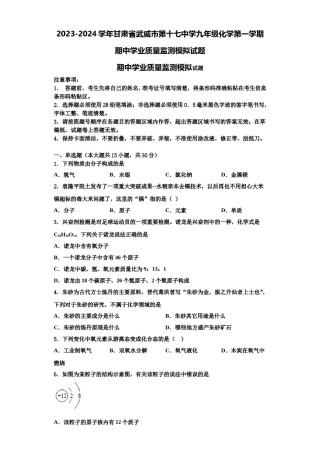 2023-2024学年甘肃省武威市第十七中学九年级化学第一学期期中学业质量监测模拟试题含解析.doc
