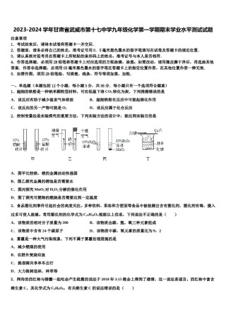 2023-2024学年甘肃省武威市第十七中学九年级化学第一学期期末学业水平测试试题含解析.doc