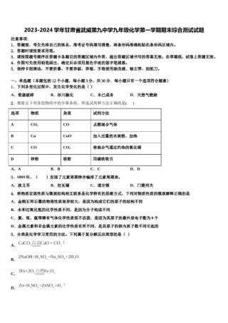2023-2024学年甘肃省武威第九中学九年级化学第一学期期末综合测试试题含解析.doc