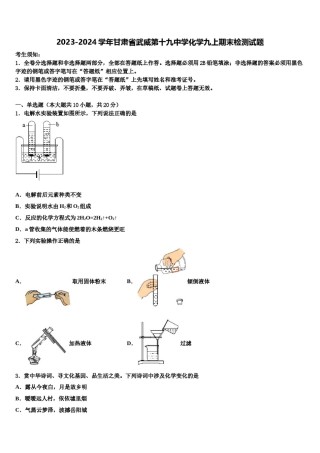 2023-2024学年甘肃省武威第十九中学化学九上期末检测试题含解析.doc