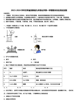 2023-2024学年甘肃省民勤县九年级化学第一学期期末综合测试试题含解析.doc
