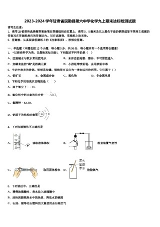 2023-2024学年甘肃省民勤县第六中学化学九上期末达标检测试题含解析.doc