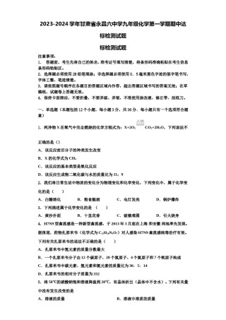2023-2024学年甘肃省永昌六中学九年级化学第一学期期中达标检测试题含解析.doc