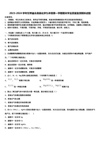2023-2024学年甘肃省永昌县化学九年级第一学期期末学业质量监测模拟试题含解析.doc