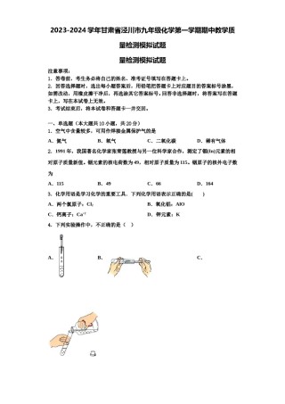 2023-2024学年甘肃省泾川市九年级化学第一学期期中教学质量检测模拟试题含解析.doc