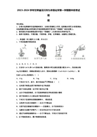2023-2024学年甘肃省泾川市九年级化学第一学期期中统考试题含解析.doc