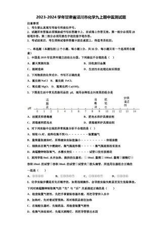 2023-2024学年甘肃省泾川市化学九上期中监测试题含解析.doc