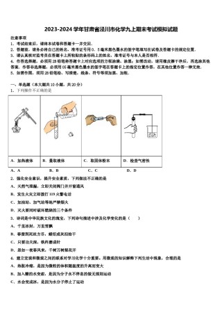 2023-2024学年甘肃省泾川市化学九上期末考试模拟试题含解析.doc