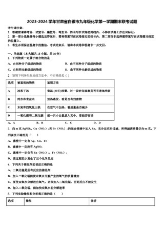 2023-2024学年甘肃省白银市九年级化学第一学期期末联考试题含解析.doc