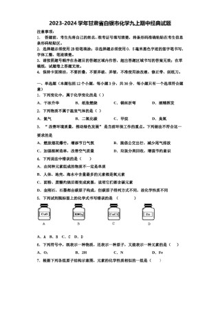 2023-2024学年甘肃省白银市化学九上期中经典试题含解析.doc