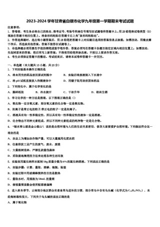 2023-2024学年甘肃省白银市化学九年级第一学期期末考试试题含解析.doc