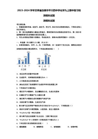 2023-2024学年甘肃省白银市平川四中学化学九上期中复习检测模拟试题含解析.doc