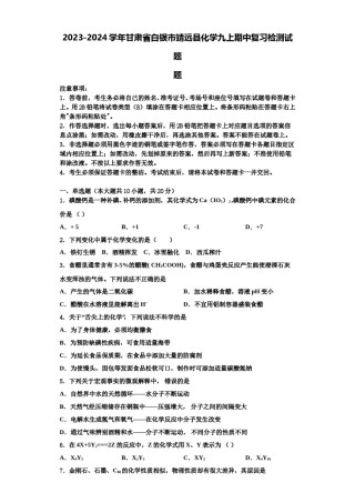 2023-2024学年甘肃省白银市靖远县化学九上期中复习检测试题含解析.doc