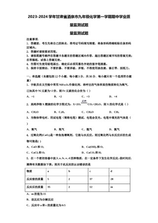 2023-2024学年甘肃省酒泉市九年级化学第一学期期中学业质量监测试题含解析.doc