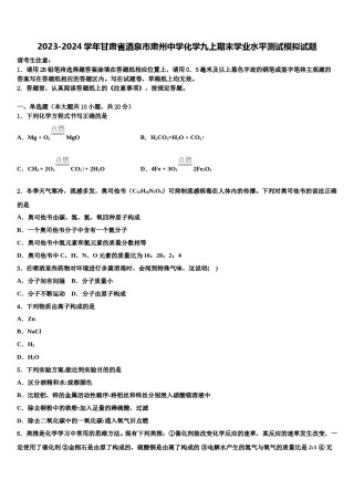 2023-2024学年甘肃省酒泉市肃州中学化学九上期末学业水平测试模拟试题含解析.doc