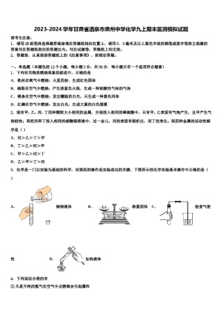 2023-2024学年甘肃省酒泉市肃州中学化学九上期末监测模拟试题含解析.doc