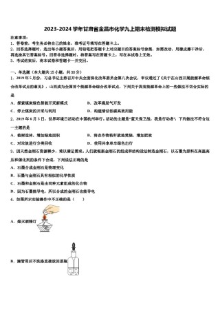 2023-2024学年甘肃省金昌市化学九上期末检测模拟试题含解析.doc