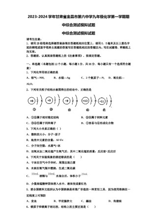 2023-2024学年甘肃省金昌市第六中学九年级化学第一学期期中综合测试模拟试题含解析.doc