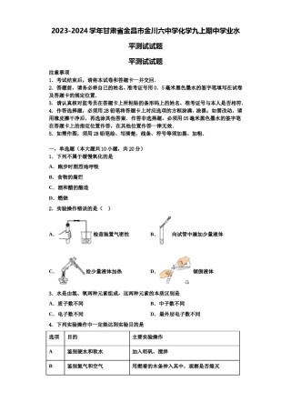 2023-2024学年甘肃省金昌市金川六中学化学九上期中学业水平测试试题含解析.doc