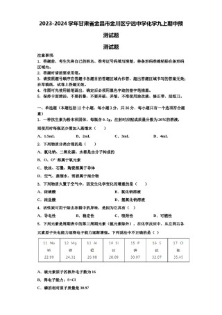 2023-2024学年甘肃省金昌市金川区宁远中学化学九上期中预测试题含解析.doc