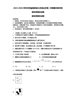 2023-2024学年甘肃省镇原县九年级化学第一学期期中教学质量检测模拟试题含解析.doc