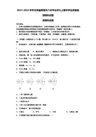 2023-2024学年甘肃省陇南市八中学化学九上期中学业质量监测模拟试题含解析.doc