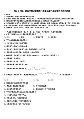 2023-2024学年甘肃省陇南市八中学化学九上期末综合测试试题含解析.doc