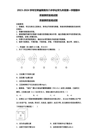2023-2024学年甘肃省陇南市八中学化学九年级第一学期期中质量跟踪监视试题含解析.doc