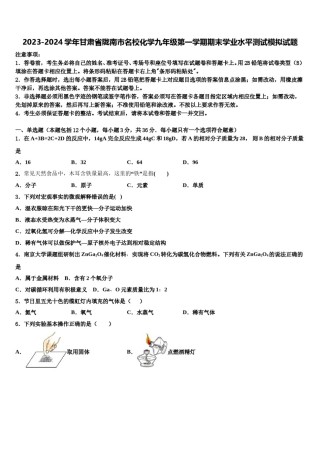 2023-2024学年甘肃省陇南市名校化学九年级第一学期期末学业水平测试模拟试题含解析.doc