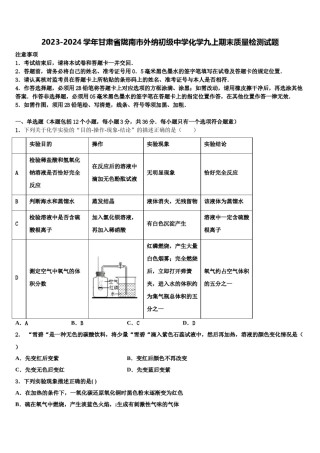 2023-2024学年甘肃省陇南市外纳初级中学化学九上期末质量检测试题含解析.doc