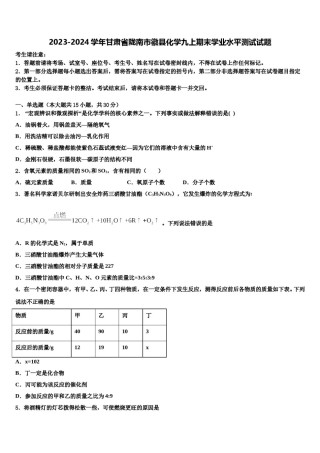 2023-2024学年甘肃省陇南市徽县化学九上期末学业水平测试试题含解析.doc