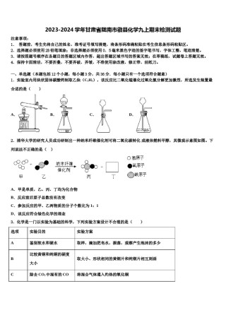 2023-2024学年甘肃省陇南市徽县化学九上期末检测试题含解析.doc