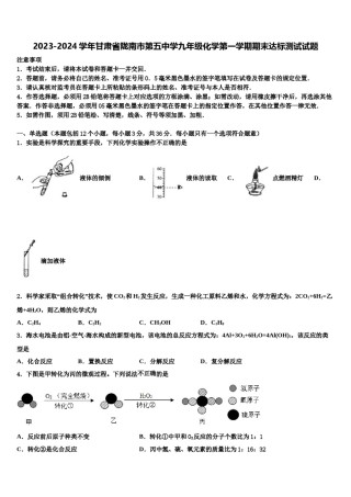 2023-2024学年甘肃省陇南市第五中学九年级化学第一学期期末达标测试试题含解析.doc