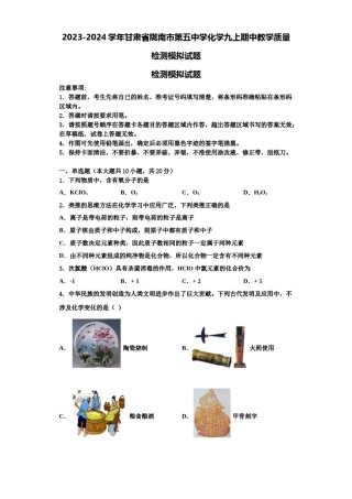 2023-2024学年甘肃省陇南市第五中学化学九上期中教学质量检测模拟试题含解析.doc