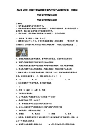 2023-2024学年甘肃省陇南市第八中学九年级化学第一学期期中质量检测模拟试题含解析.doc