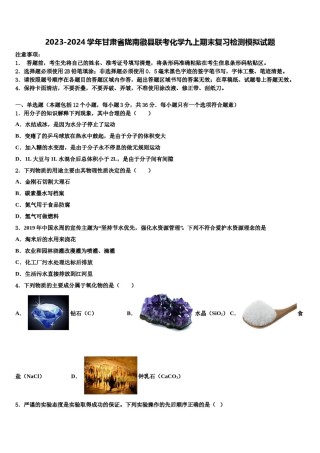 2023-2024学年甘肃省陇南徽县联考化学九上期末复习检测模拟试题含解析.doc
