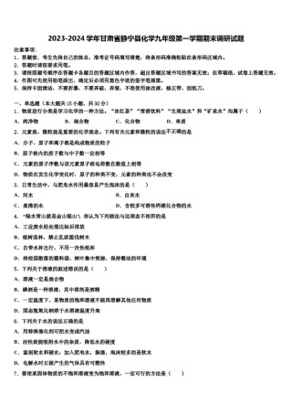 2023-2024学年甘肃省静宁县化学九年级第一学期期末调研试题含解析.doc