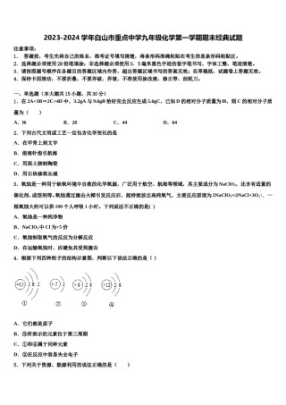 2023-2024学年白山市重点中学九年级化学第一学期期末经典试题含解析.doc