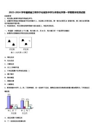 2023-2024学年福建省三明市宁化城东中学九年级化学第一学期期末检测试题含解析.doc