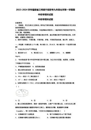 2023-2024学年福建省三明建宁县联考九年级化学第一学期期中统考模拟试题含解析.doc