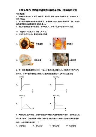 2023-2024学年福建省仙游县联考化学九上期中调研试题含解析.doc
