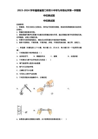 2023-2024学年福建省厦门市双十中学九年级化学第一学期期中经典试题含解析.doc