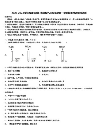2023-2024学年福建省厦门市名校九年级化学第一学期期末考试模拟试题含解析.doc