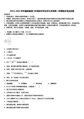 2023-2024学年福建省厦门市湖滨中学化学九年级第一学期期末考试试题含解析.doc