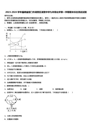 2023-2024学年福建省厦门市湖里区湖里中学九年级化学第一学期期末综合测试试题含解析.doc